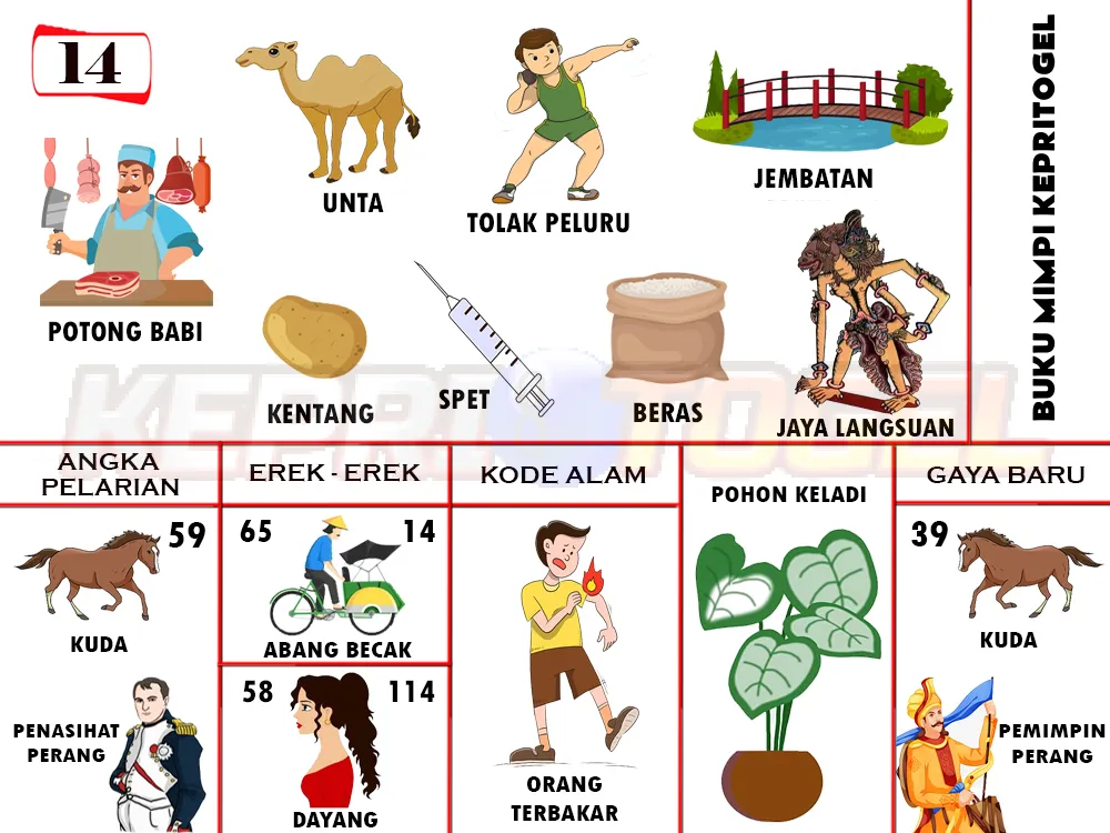 buku mimpi erek erek togel 14